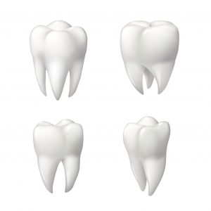 If your wisdom teeth are coming in, there are a few things you should know about them!